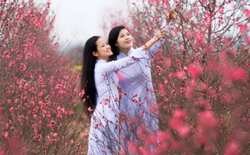Tết vui